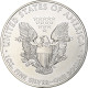 États-Unis, 1 Dollar, 1 Oz, 2013, Philadelphie, Argent, SPL, KM:273 - Silber