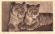 ANIMAUX - Junge Löwen - Tierfudien AJW  De Veer - Carte Postale Ancienne - Lions