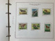 Delcampe - SAN MARINO COLLEZIONE DAL 1959 AL 2009 SU 4 ALBUM ROSSI G.I MNH** - Lots & Serien