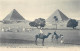 Delcampe - LOT 28 CPA : ALEXANDRIA SAQQARA EDFU PYRAMIDS GIZA SPHINX HELIOPOLIS THEBES NUBIA ESNEH LUXOR EGYPT EGYPTE EGYPTOLOGY - Collezioni E Lotti