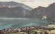 AK - OÖ - Unterach Am Attersee - 1902 - Attersee-Orte