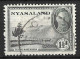 NYASALAND...KING GEORGE VI..(1936-52..)..." 1945.."...1 & HALFd.....SG146...... CDS......VFU... - Nyassaland (1907-1953)