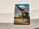Tanzania-(TAZ-TT-01B)-giraffe-(10)-(150units)-(number Left Side Up)-(00218600)-used Card+1card Prepiad/gift Free - Tansania