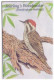 J.J. Audubon's Birds Of The World, Woodpecker, Seed Cracker, Bee Eater, Ground Dove, Birds, Bird, Animal, Malawi FDC - Gabbiani