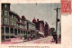 Canada - Cape Breton 1905 - Dorchester Street And Sydney Hotel, Attelages - Cape Breton