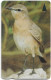 Bahrain - Batelco (GPT) - Bahrain Birds - Oenanthe Isabellina - 46BAHB - 1998, Used - Bahrein