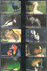 2003 Turkey Birds Complete Set - Other & Unclassified