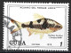 Cuba 1978. Scott #2192 (U) Fish, Barbus Arulios - Gebruikt