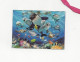 Carte Double Lenticulaire 3D Thème Dauphin, Requin, Tortue, Poisson Animaux De La Mer Format 19 X 13 Cm Avec Enveloppe - Delfines