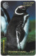 Falklands - C&W (GPT) - Jackass Penguin, 1CWFB, 1993, 40.000ex, Used - Falkland Islands