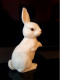 HASE Rosenthal Classic Skulptur Weiss - Perfekt - Augen Ohren Nase Farbig - Other & Unclassified