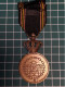 MEDAILLE DES PRISONNIERS DE GUERRE 1940/1945, BELGIQUE WW2 - Belgique