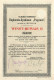 Exploratie-Syndicaat "Pagoeat" N.V. - Winstbewijs II - Amsterdam 1904 Indonesia - Agricoltura