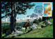 ANDORRE Véritable Carte Maximum Sur CP D'Andorre EUROS ANDORRANS Pièces ISARD Oblit. FDC Illustrée 8.01.2016 SUPERBE - Cartes-Maximum (CM)