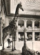 ANIMALS, GIRAFFES, ARCHITECTURE, MUSEUM, BONN, GERMANY - Girafes