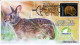 USA 2023 Lower Keys Marsh Rabbit, Endangered Species, Animal,Pictorial Postmark, FDC Cover (**) - Covers & Documents