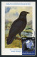 GREENLAND (2023) Carte Maximum Card - ESA Astronaut Andreas Mogensen To ISS, Corvus Corax, Grand Corbeau, Common Raven - Cartoline Maximum