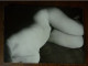 PHOTO ORIGINALE ANNEES 50 CORPS DE FEMME - Unclassified