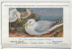 CP : Musée Royale D'histoire Naturelle De Belgique - Oiseaux - N°90 Goëland Argenté - Signé Hub. Dupond (2 Scans) - Collections & Lots