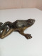 Delcampe - Grenouille En Bronze XIXème 13 Cm X 9 Cm Signé - Bronzes