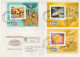 Central Africa Halley's Comet Perforated And Imperforated Sets And SSs And 6 Deluxe Sheets On 4 R Covers - Afrique