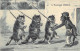 Animaux Déguisés - L'exercice Militaire - Au Printemps - Paris - Chats Militaires - Fusils - Carte Postale Ancienne - Dressed Animals