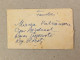 Flowers Fleurs Blumen Romania RPR Stationery Stamp On Liliput Cover Envelope Targoviste - Lettres & Documents