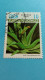 CUBA - Timbre 1994 : Plantes Médicinales - L'Aloe Vera - Gebraucht