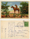 United States 1945 Postcard Kansas City, Missouri - "The Scout" Penn Valley Park - Statue, Indian On Horseback - Kansas City – Missouri