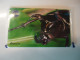 THAILAND MINT  CARDS TOT CHIPS INSECTS BEETLE - Other & Unclassified