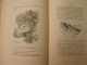 Delcampe - Revue Historique Et Archéologique Du Maine. Année 1904, 2ème Semestre (3 Livraisons). Tome LVI. Mamers, Le Mans - Pays De Loire