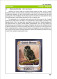 Delcampe - OWLS - RAPTORS- BIRDS OF PREY-"THE PARLIAMENT" - GALLERY OF OWLS ON STAMPS- EBOOK-PDF- DOWNLOADABLE-372 PAGES - Vida Salvaje