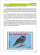 Delcampe - OWLS - RAPTORS- BIRDS OF PREY-"THE PARLIAMENT" - GALLERY OF OWLS ON STAMPS- EBOOK-PDF- DOWNLOADABLE-372 PAGES - Vita Selvaggia