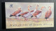 SOUTH AFRICA 1997 - NEUF**/MNH - LUXE - Booklet Carnet Markenheftchen No 2 -  8 Pages - 2 X Mi 1064 / 1073 - Birds - Booklets