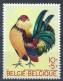 COB 1513-Cu ** - Coq Nain "Barbu D'Anvers" - Défaut Dans Le Plumage - 1961-1990