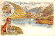 Souvenir Du Gd St Bernard (Litho Colors A. Trüb & Co 1912) - Bourg-Saint-Pierre 