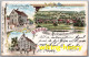 Ranstadt Bobenhausen - Litho Gruss Aus Bobenhausen Mit Gasthaus Zum Adler Von Karl Carl Schulhaus Und Total Ansicht - Wetterau - Kreis