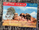 28-12-2023 (Folder) Australia - NT - Up The Track - Zonder Classificatie