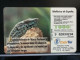 T-298 - SPAIN, ESPANA TELECARD, PHONECARD, Lézard, LIZARD - Other & Unclassified