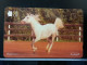 T-305 - OMAN TELECARD, PHONECARD, HORSE, CHEVAL - Oman