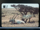 T-306 - OMAN TELECARD, PHONECARD, ANIMAL - Oman