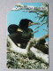 T-327 - POLAND, POLSKA, TELECARD, PHONECARD, BIRD, OISEAU - Polonia