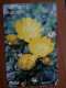 T-358 - JAPAN, Japon, Nipon, TELECARD, PHONECARD,  FLOWER, FLEUR, NTT 331-472 - Fleurs