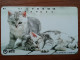 T-361 - JAPAN, Japon, Nipon, TELECARD, PHONECARD, NTT 111-078, Cat, Chat - Katten