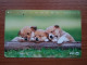 T-374 - JAPAN, Japon, Nipon, TELECARD, PHONECARD, Dog, Chien, NTT 231-349 - Dogs