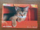 T-401 - JAPAN, Japon, Nipon, Carte Prepayee, Prepaid Card, CAT, CHAT,  - Katten