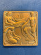 Belgique Ville De Liège Par Louis Dupont Jeune Femme Tenant Dans Ses Mains Le Blason De Liège Plaque En Bronze . - Altri & Non Classificati