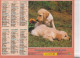 Calendrier-Almanach Des P.T.T 1995 -Berger Allemand- Jeunes Labradors -Département AIN-01-Référence 405 - Groot Formaat: 1991-00