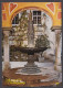 126320/ ST. WOLFGANG, Pilgerbrunnen Im Hof Der Wallfahrtskirche - St. Wolfgang