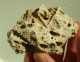 Bloc Incrusté D'empreintes De Fossiles - Fossilien
